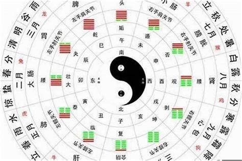 水和金 五行|八字中的五行水该如何理解 八字五行水旺的人忌讳什么